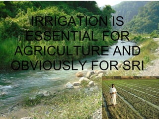 IRRIGATION IS ESSENTIAL FOR AGRICULTURE AND OBVIOUSLY FOR SRI 