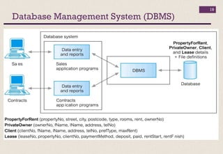 Database Management System (DBMS)
19
 