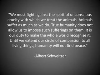 "We must fight against the spirit of unconscious cruelty with which we treat the animals. Animals suffer as much as we do. True humanity does not allow us to impose such sufferings on them. It is our duty to make the whole world recognize it. Until we extend our circle of compassion to all living things, humanity will not find peace.”-Albert Schweitzer  