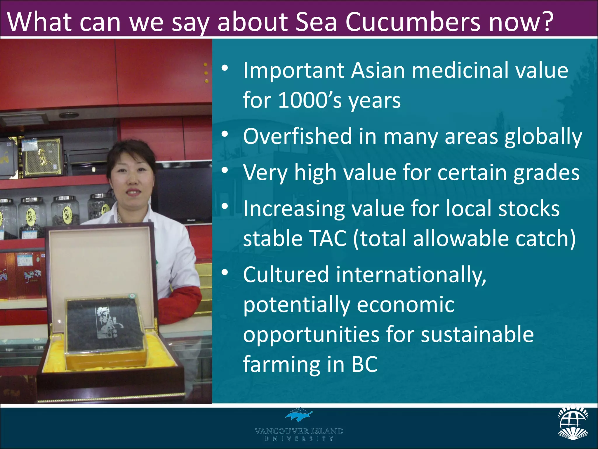 What can we say about Sea Cucumbers now?
               • Important Asian medicinal value
                 for 1000’s years
               • Overfished in many areas globally
               • Very high value for certain grades
               • Increasing value for local stocks
                 stable TAC (total allowable catch)
               • Cultured internationally,
                 potentially economic
                 opportunities for sustainable
                 farming in BC
 