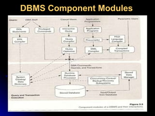 DBMS Component Modules   