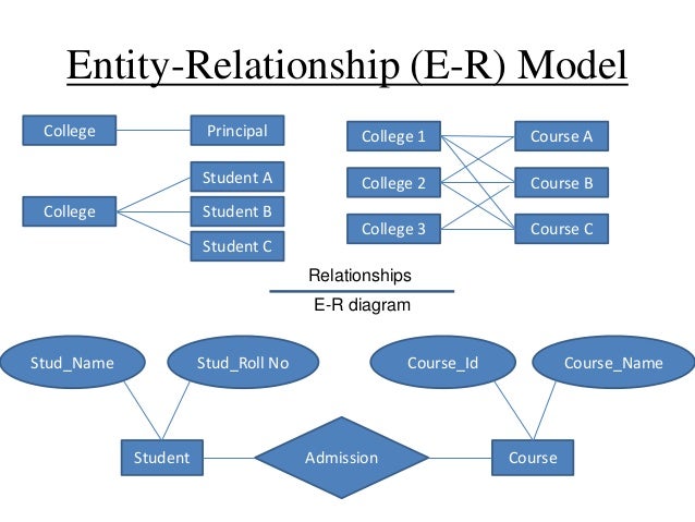 Database Management System