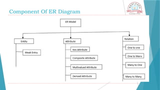 Component Of ER Diagram
 