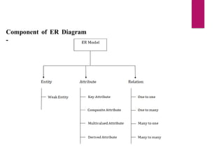 Component of ER Diagram
-
 