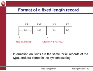 dbms-file-organization.pdf for managment | PDF