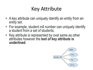Key Attribute
• A key attribute can uniquely identify an entity from an
entity set.
• For example, student roll number can uniquely identify
a student from a set of students.
• Key attribute is represented by oval same as other
attributes however the text of key attribute is
underlined.
 