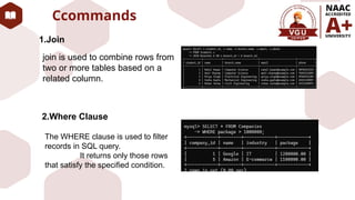 Placement management system in SQL database design | PPTX