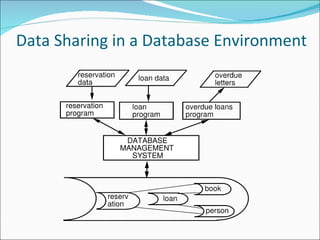 Data Sharing in a Database Environment 