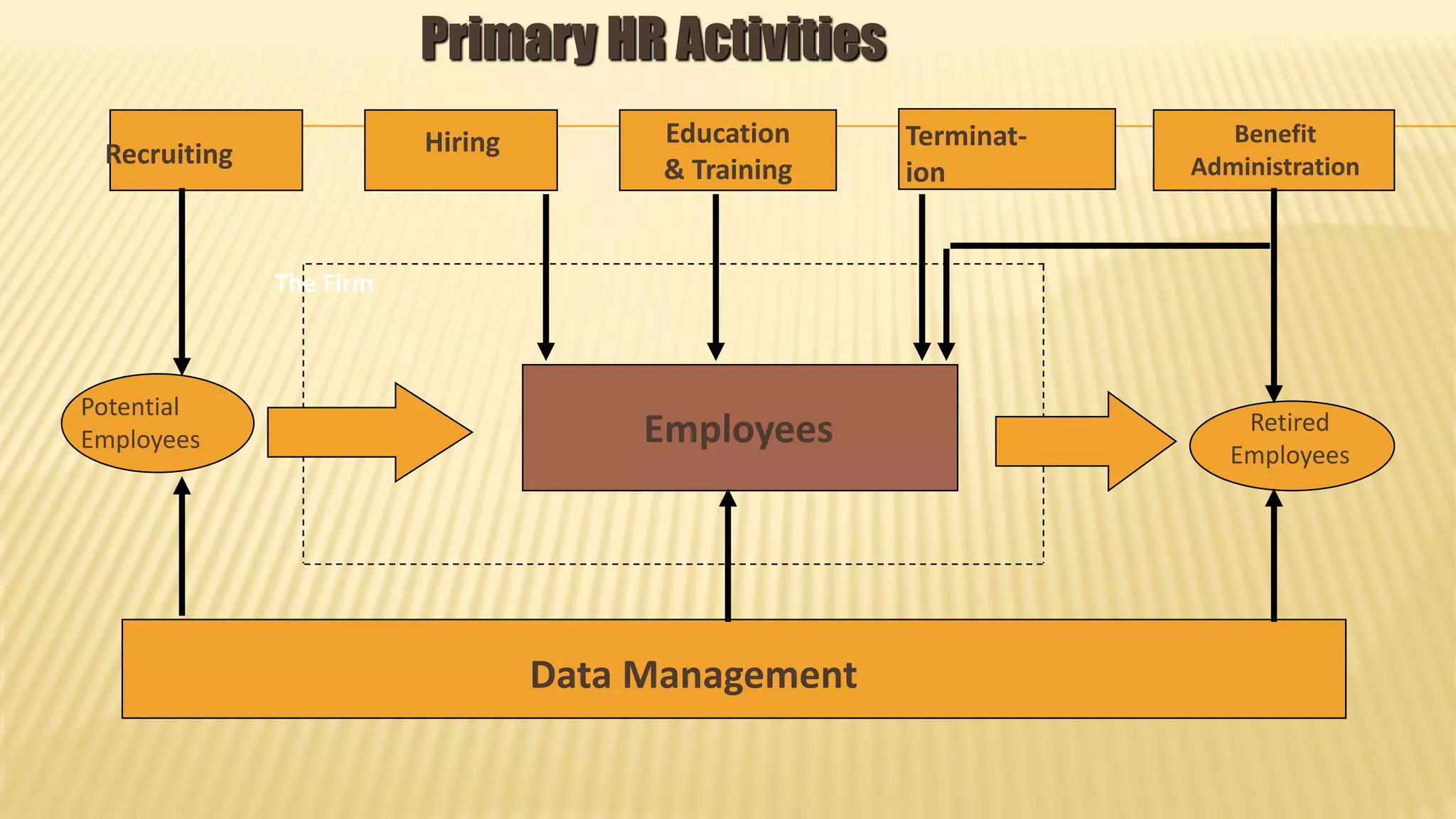 Recruiting Hiring Education
& Training
Terminat-
ion
Benefit
Administration
Potential
Employees Employees Retired
Employees
Data Management
The Firm
Primary HR Activities
 