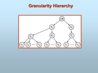 Granularity Hierarchy
 