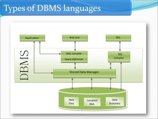 Types of DBMS languages
 