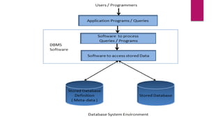 Dbms environment and components ppt.pptx