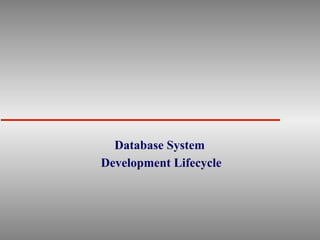 Database System
Development Lifecycle
 