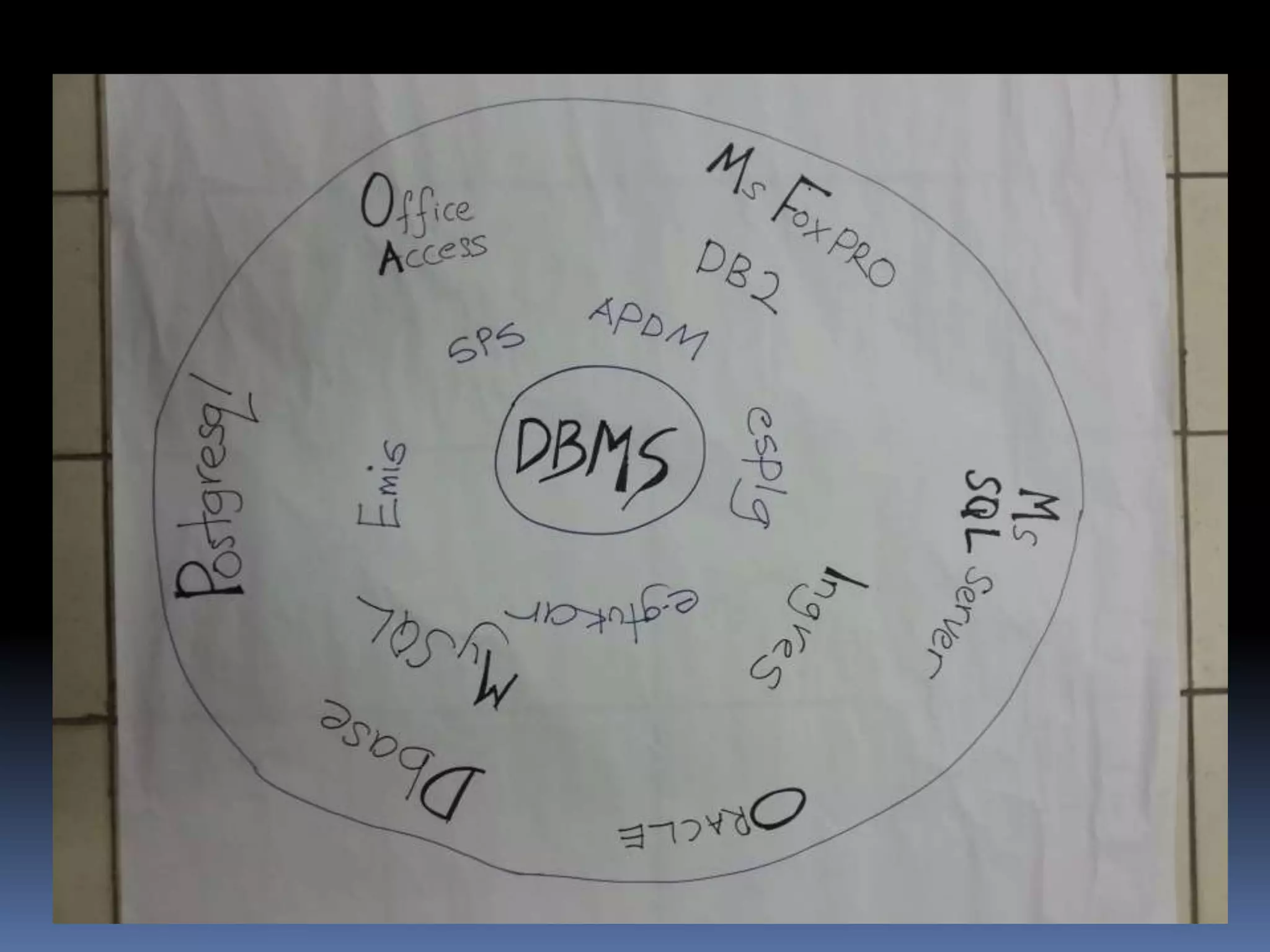 Fungsi dan Contoh DBMS