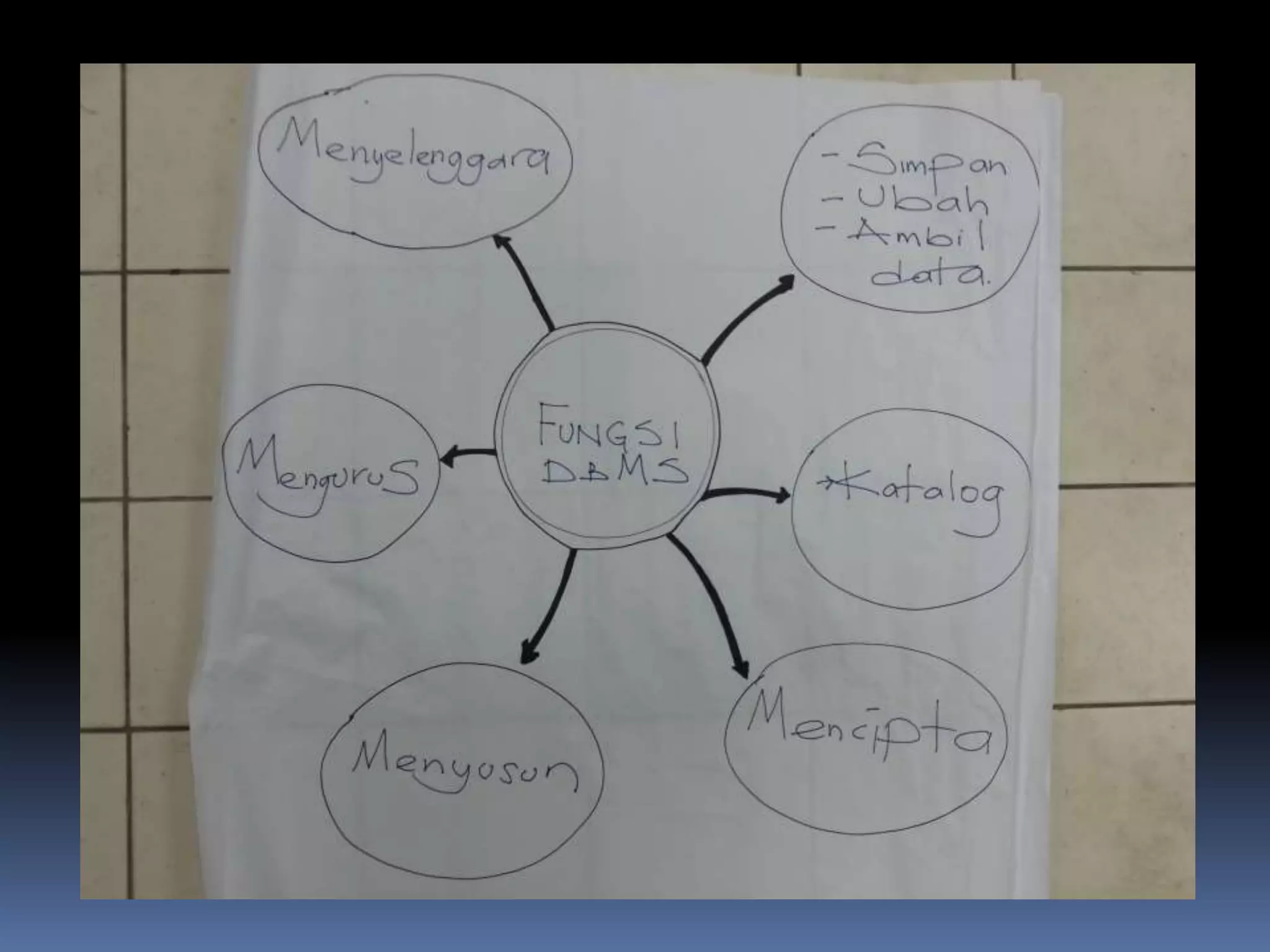 Fungsi dan Contoh DBMS