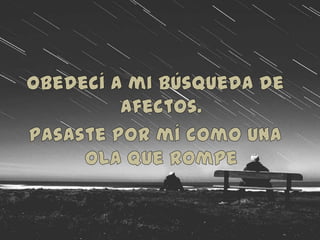 Obedecí a mi búsqueda de afectos.Pasaste por mí como una ola que rompe