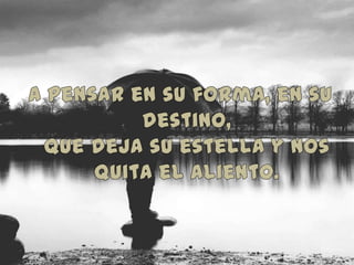 A pensar en su forma, en su destino,que deja su estella y nos quita el aliento.