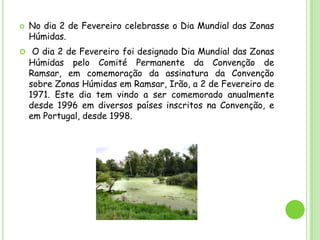 No dia 2 de Fevereiro celebrasse o Dia Mundial das Zonas Húmidas.O dia 2 de Fevereiro foi designado Dia Mundial das Zonas Húmidas pelo Comité Permanente da Convenção de Ramsar, em comemoração da assinatura da Convenção sobre Zonas Húmidas em Ramsar, Irão, a 2 de Fevereiro de 1971. Este dia tem vindo a ser comemorado anualmente desde 1996 em diversos países inscritos na Convenção, e em Portugal, desde 1998.