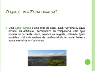 O que é uma Zona húmida?Uma Zona Húmida é uma área de sapal, paul, turfeira ou água, natural ou artificial, permanente ou temporária, com água parada ou corrente, doce, salobra ou salgada, incluindo águas marinhas até seis metros de profundidade na maré baixa e zonas costeiras e ribeirinhas.