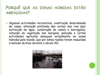 Porquê que as zonas húmidas estão ameaçadas?Algumas actividades recreativas, construção desordenada de casas, alteração profunda dos cursos dos rios (por extracção de água, construção de canais e barragens), remoção da vegetação das margens, poluição e certas actividades agrícolas ameaçam actualmente as zonas húmidas pelo mundo, que por estas razões foram reduzidas a metade da área durante o século XX.