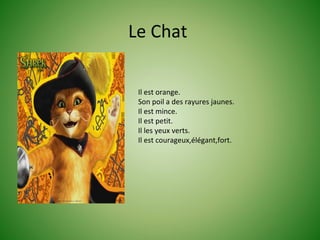 Le Chat

 Il est orange.
 Son poil a des rayures jaunes.
 Il est mince.
 Il est petit.
 Il les yeux verts.
 Il est courageux,élégant,fort.
 