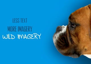 less text
WILD IMAGERY
MORE IMAGERY
 