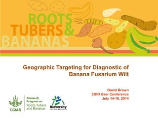 Geographic Targeting for Diagnostic of
Banana Fusarium Wilt
David Brown
ESRI User Conference
July 14-18, 2014
 