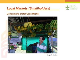 Geographic Targeting for Diagnostic of Banana Fusarium Wilt