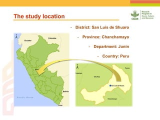 Geographic Targeting for Diagnostic of Banana Fusarium Wilt