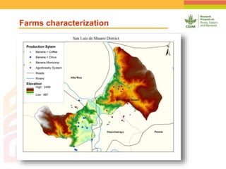 Geographic Targeting for Diagnostic of Banana Fusarium Wilt