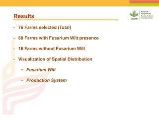 Geographic Targeting for Diagnostic of Banana Fusarium Wilt