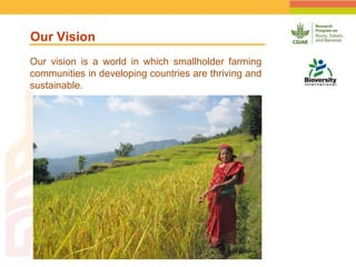 Geographic Targeting for Diagnostic of Banana Fusarium Wilt