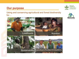 Geographic Targeting for Diagnostic of Banana Fusarium Wilt