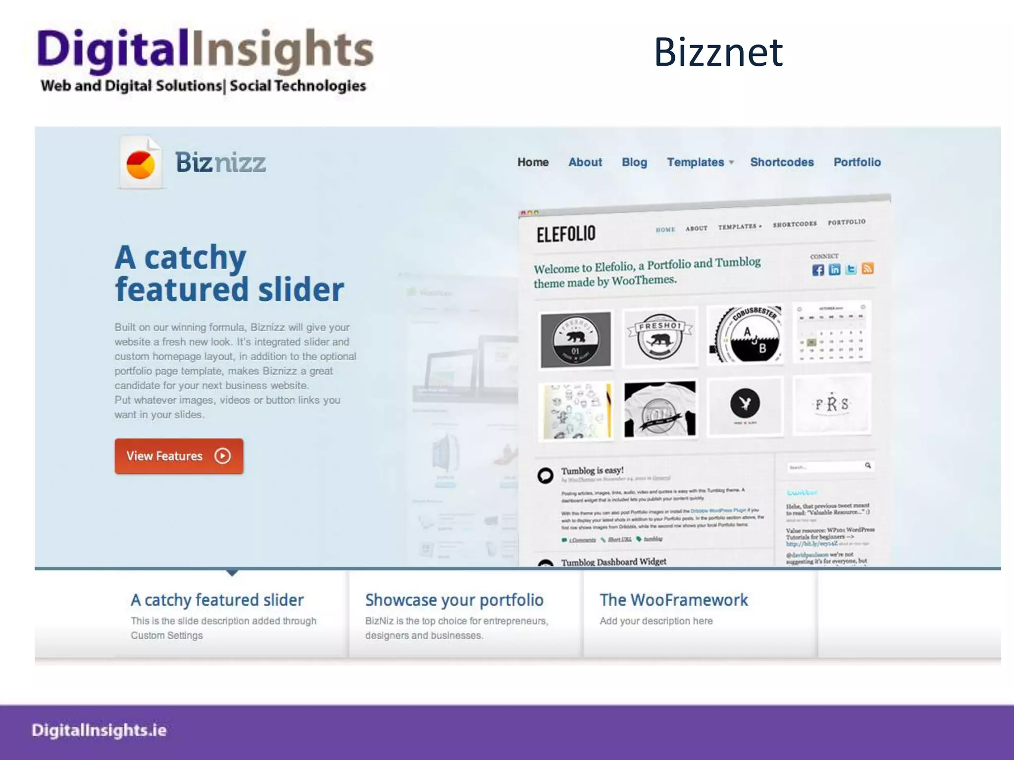 Building WP CMS System from Theme FrameworkCANVAS Theme – Woo Themes