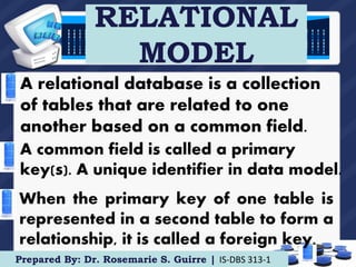 The Database Environment and Development Process | PPT