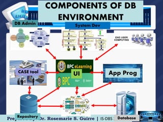 The Database Environment and Development Process | PPT