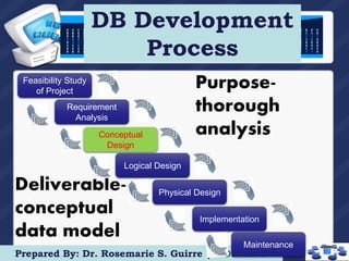 The Database Environment and Development Process | PPT