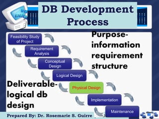 The Database Environment and Development Process | PPT