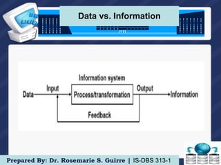 The Database Environment and Development Process | PPT