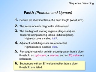 FastA (Pearson and Lipman)
Sequence Searching
1. Search for short identities of a fixed length (word size).
2. The score of each diagonal is determined.
3. The ten highest scoring regions (diagonals) are
rescored using scoring tables (initial regions).
Highest score is called init1.
4. Adjacent initial diagonals are connected.
Highest score is called initn.
5. For sequences with an initn score greater than a given
threshold an opt-score, a z-score, and an E() value are
calculated.
6. Sequences with an E() value smaller than a given
threshold are listed
 