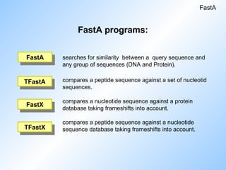 FastA programs:
searches for similarity between a query sequence and
any group of sequences (DNA and Protein).
compares a peptide sequence against a set of nucleotid
sequences.
compares a nucleotide sequence against a protein
database taking frameshifts into account.
compares a peptide sequence against a nucleotide
sequence database taking frameshifts into account.
FastA
TFastX
FastX
TFastA
FastA
 