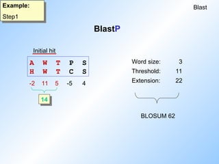 BlastP
Blast
Example:
Step1
Word size: 3
Threshold: 11
Extension: 22
BLOSUM 62
A W T P S
H W T C S
-2 11 5 -5 4
14
Initial hit
 