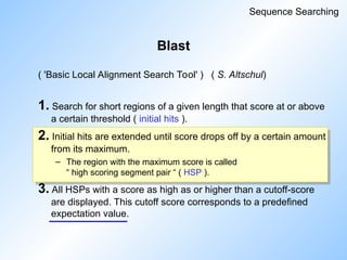 Blast
( 'Basic Local Alignment Search Tool' ) ( S. Altschul)
1. Search for short regions of a given length that score at or above
a certain threshold ( initial hits ).
2. Initial hits are extended until score drops off by a certain amount
from its maximum.
– The region with the maximum score is called
“ high scoring segment pair “ ( HSP ).
3. All HSPs with a score as high as or higher than a cutoff-score
are displayed. This cutoff score corresponds to a predefined
expectation value.
Sequence Searching
 