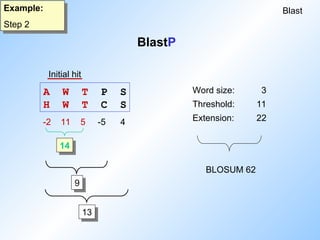 Blast
Example:
Step 2
Word size: 3
Threshold: 11
Extension: 22
BLOSUM 62
A W T P S
H W T C S
-2 11 5 -5 4
14
9
13
Initial hit
BlastP
 
