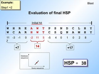 Blast
Example:
Step1 +2
W H R E A W T P S N D C L H Y
W C A R H W T C S Q N A M H Y
11 -3 -1 0 -2 11 5 -5 4 0 1 0 2 8
7
Initial hit
14
+7 +17
Database
sequence
Query sequence
HSP = 38
Evaluation of final HSP
 