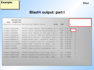 BlastN output: part I
Blast
Example:
Smallest Sum
High Probability
Sequences producing High-scoring Segment Pairs: Score P(N) N
>>>empri:HSCHIKER M37818 Human keratin (psi-K-alpha) p... 1115 4.8e-252 5
>>>empri:HSKERUV X05803 Human radiated keratinocyte m... 718 6.0e-106 2
>>>empri:HSEPKER J00124 Homo sapiens 50 kDa type I ep... 687 2.4e-105 4
>>>empri:HSKERELP X62571 H.sapiens mRNA for keratin-re... 718 3.1e-105 2
>>>emrod:MMKTEPIA M13806 Mouse keratin (epidermal) typ... 691 5.3e-101 2
>>>emrod:MMKTEPIC M13805 Mouse type I epidermal kerati... 700 1.1e-96 2
>>>empri:HSCYTOK17 Z19574 H.sapiens gene for cytokerati... 651 1.8e-90 3
>>>gb_pr_only:S79867 S79867 type I keratin 16 [human, epi... 709 1.5e-87 2
>>>empri:S72493 S72493 keratin=keratin 16 homolog [h... 693 1.3e-86 2
>>>empri:HSKERP2 M22928 Human keratin pseudogene, exo... 624 6.4e-86 3
...
>>>emvrl:HESH1ULTR L24958 Pseudorabies virus long termi... 125 0.99994 1
>>>emvrl:HESH1SEQ M81222 Herpesvirus-pseudorabies viru... 125 0.99995 1
>>>emvrl:HEHSSLLT M57505 Pseudorabies virus ORF1, ORF2... 125 0.99995 1
 