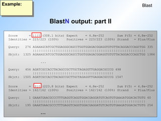 BlastN output: part II
Blast
Example:
Score = 1115 (308.1 bits) Expect = 4.8e-252 Sum P(5) = 4.8e-252
Identities = 223/223 (100%) Positives = 223/223 (100%) Strand = Plus/Plus
Query: 276 AGAAAGCATCGCTGGAGGGCAGCCTGGTGGAGACGGAGGTGTGTTACAGGACCCAGCTGG 335
||||||||||||||||||||||||||||||||||||||||||||||||||||||||||||
Sbjct: 1325 AGAAAGCATCGCTGGAGGGCAGCCTGGTGGAGACGGAGGTGTGTTACAGGACCCAGCTGG 1384
...
Query: 456 AGATCGCCACCTACAGCCGCTTGCTAGAGGTTGAGGACGCCCG 498
|||||||||||||||||||||||||||||||||||||||||||
Sbjct: 1505 AGATCGCCACCTACAGCCGCTTGCTAGAGGTTGAGGACGCCCG 1547
Score = 810 (223.8 bits) Expect = 4.8e-252 Sum P(5) = 4.8e-252
Identities = 162/162 (100%) Positives = 162/162 (100%) Strand = Plus/Plus
Query: 1 GAAATGAACGCCCTTTGAGGTCAGGTGGACGAGGATGTCAGTGTGAAGATGGACACTGTG 60
||||||||||||||||||||||||||||||||||||||||||||||||||||||||||||
Sbjct: 195 GAAATGAACGCCCTTTGAGGTCAGGTGGACGAGGATGTCAGTGTGAAGATGGACACTGTG 254
...
 