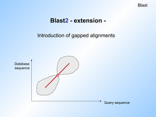Introduction of gapped alignments
Blast2 - extension -
Blast
Database
sequence
Query sequence
 