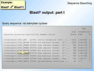 Sum
High Probability
Sequences producing High-scoring Segment Pairs: Score P(N) N
>>>swissprot:25A1_RAT Q05961 rattus norvegicus (rat). (... 1915 1.8e-263 1
>>>swissprot:25A1_MOUSE P11928 mus musculus (mouse). (2'-... 1583 8.6e-222 2
>>>swissprot:25A2_HUMAN P04820 homo sapiens (human). (2'-... 782 9.2e-179 3
>>>swissprot:25A1_HUMAN P00973 homo sapiens (human). (2'-... 782 6.0e-173 2
>>>swissprot:25A2_MOUSE P29080 mus musculus (mouse). (2'-... 782 6.0e-173 2
>>>swissprot:25A6_HUMAN P29728 homo sapiens (human). 69/7... 386 1.8e-118 4
>>>swissprot:25A3_MOUSE P29081 mus musculus (mouse). (2'-... 785 5.7e-106 1
>>>swissprot:TR14_HUMAN Q15646 homo sapiens (human). thyr... 161 1.5e-16 2
>>>swissprot:YKH2_YEAST P36085 saccharomyces cerevisiae (... 66 0.71 1
BlastP output: part I
Example:
BlastP BlastP2
Sequence Searching
Query sequence: rat adenylate cyclase
 