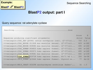 Searching..................................................done
Score E
Sequences producing significant alignments: (bits) Value
>>>swissprot:25A1_RAT Q05961 rattus norvegicus (rat). (2'-5')ol... 750 0.0
>>>swissprot:25A1_MOUSE P11928 mus musculus (mouse). (2'-5')oli... 629 e-180
>>>swissprot:25A2_MOUSE P29080 mus musculus (mouse). (2'-5')oli... 495 e-140
>>>swissprot:25A2_HUMAN P04820 homo sapiens (human). (2'-5')oli... 495 e-140
>>>swissprot:25A1_HUMAN P00973 homo sapiens (human). (2'-5')oli... 495 e-140
>>>swissprot:25A3_MOUSE P29081 mus musculus (mouse). (2'-5')oli... 492 e-139
>>>swissprot:25A6_HUMAN P29728 homo sapiens (human). 69/71 kd (... 350 2e-96
>>>swissprot:TR14_HUMAN Q15646 homo sapiens (human). thyroid re... 77 4e-14
>>>swissprot:RN14_YEAST P25298 saccharomyces cerevisiae (baker'... 32 1.5
BlastP2 output: part I
Example:
BlastP BlastP2
Sequence Searching
Query sequence: rat adenylate cyclase
 